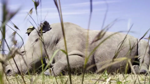 切尔诺贝利日记
