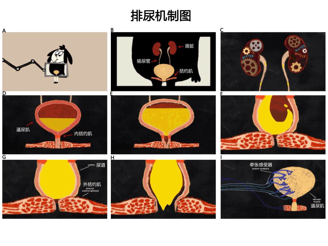 北京女子图鉴之失恋直播