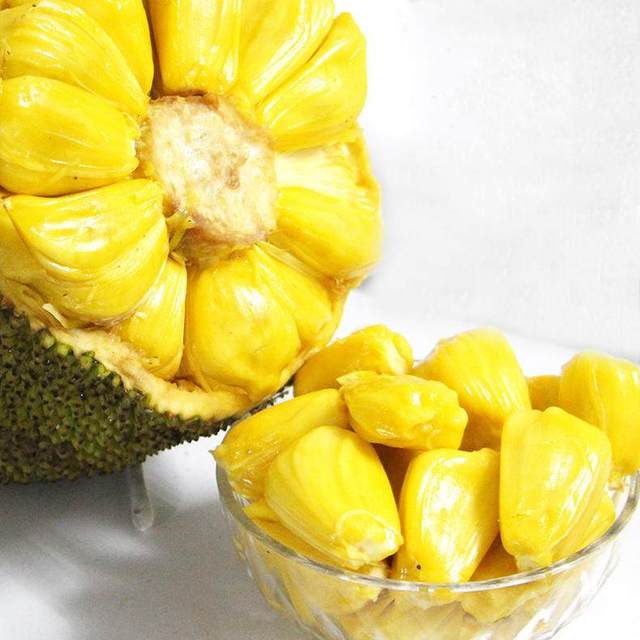 单细胞少女与学校怪谈：建校纪念日