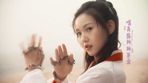 北极大冒险（国语版）