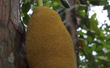 千与千寻普通话版