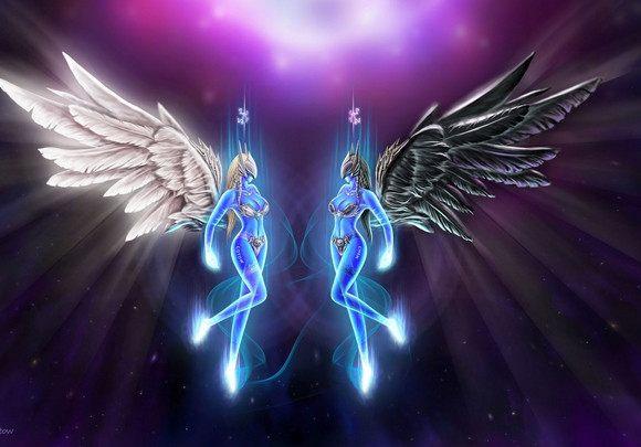 功夫梦：融合之道