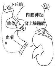 刀剑笑新传之宝鉴