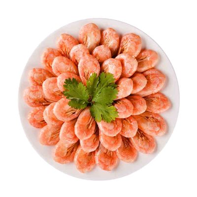 剧场版 七人魔法使 天空图书馆与真红魔王